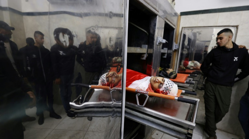 Fuerzas israel&iacute;es matan a dos palestinos en Cisjordania