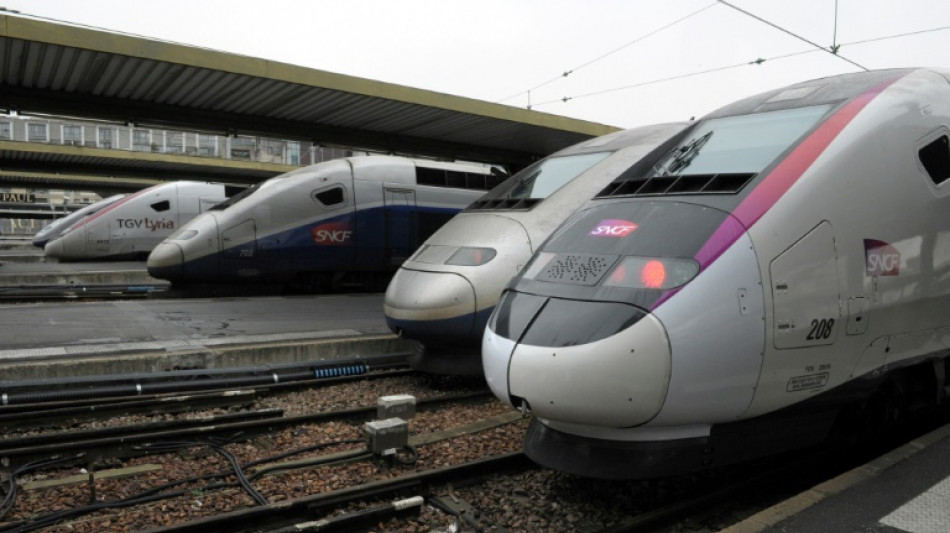 La ligne TGV Paris-Lyon, la plus fr&eacute;quent&eacute;e d'Europe, ferm&eacute;e pendant quatre jours en novembre