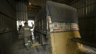 Seca hist&oacute;rica derruba produ&ccedil;&atilde;o de soja na Argentina