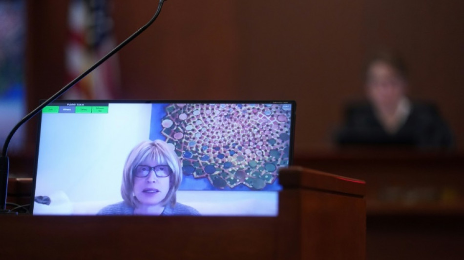 Proc&egrave;s Depp/Heard: la carri&egrave;re de l'acteur d&eacute;j&agrave; en d&eacute;clin avant les accusations de violences conjugales, selon des t&eacute;moins