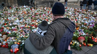 Presidente alem&atilde;o pede uni&atilde;o ap&oacute;s ataque contra mercado de Natal em Magdeburgo