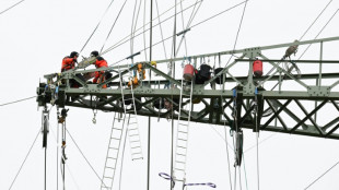 Allemagne: le taux de ch&ocirc;mage stable en mars, r&eacute;siste &agrave; l'atonie &eacute;conomique
