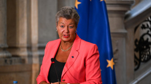 Johansson, 'rimpatri su del 32%, col Patto andr&agrave; meglio'