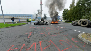 Michelin: deux nouvelles usines fran&ccedil;aises vont fermer, les salari&eacute;s de Cholet votent la gr&egrave;ve