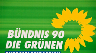 Gr&uuml;ne schlagen Regionalticket f&uuml;r 29 Euro und Deutschlandticket f&uuml;r 49 Euro vor