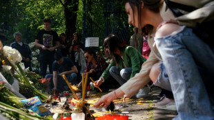 Belgrad plant "fast vollständige Entwaffnung" von Privatpersonen