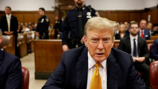 Cierra la etapa de testimonios en el juicio a Trump, que no declar&oacute;