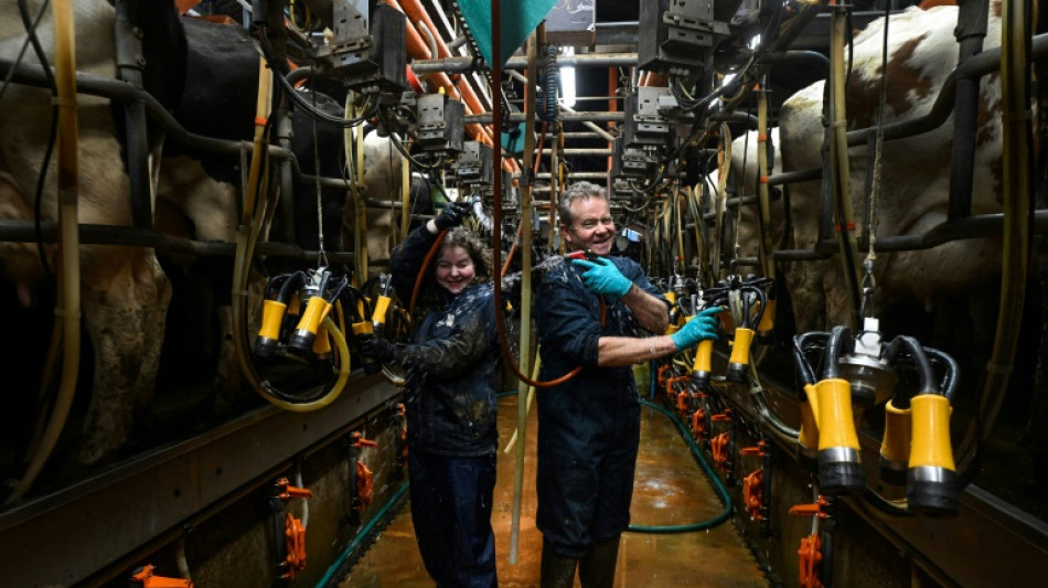 En las granjas inglesas, se palpa la c&oacute;lera contra el gobierno laborista