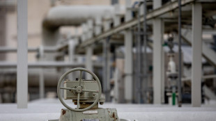 Ue, 'per Ungheria e Slovacchia in arrivo greggio dalla Croazia'