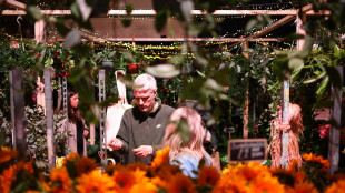 Societ&agrave; benefit in crescita, pi&ugrave; ricavi e inclusione