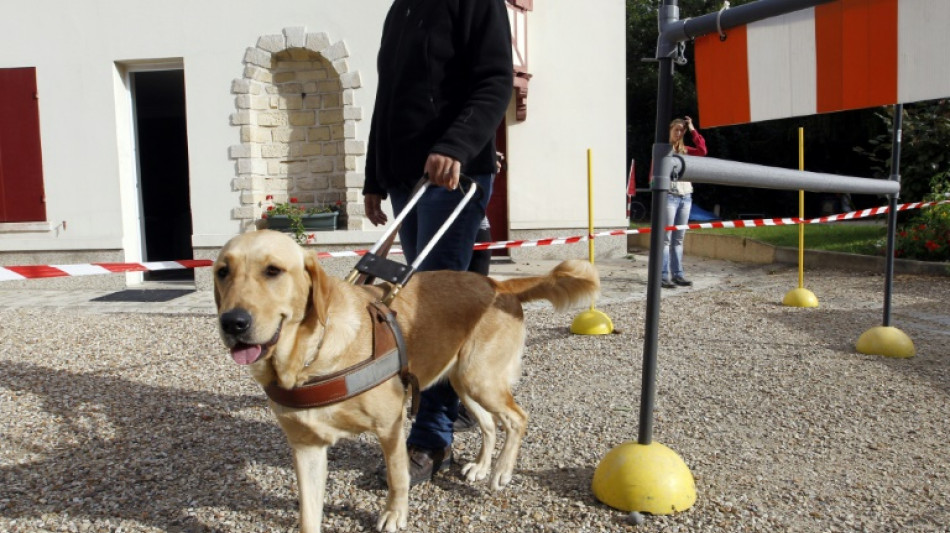 Nicht nachgewiesene Sehst&ouml;rung rechtfertigt keinen h&ouml;heren Grad der Behinderung