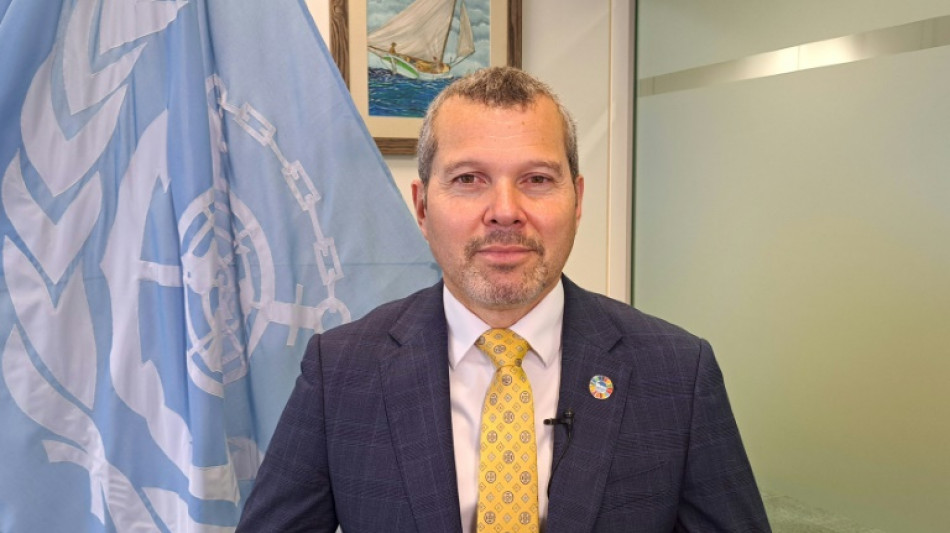 El jefe de la Organizaci&oacute;n Mar&iacute;tima Internacional, "optimista" sobre conflicto del mar Rojo