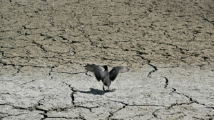 Global tensions rattle COP30 build-up but 'failure not an option'