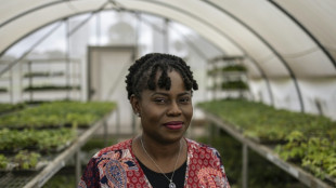 Award-winning Nigerian agronomist dreams of a cassava 'revolution'