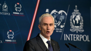 Interpol, 100 anos lutando contra o crime e as pol&ecirc;micas