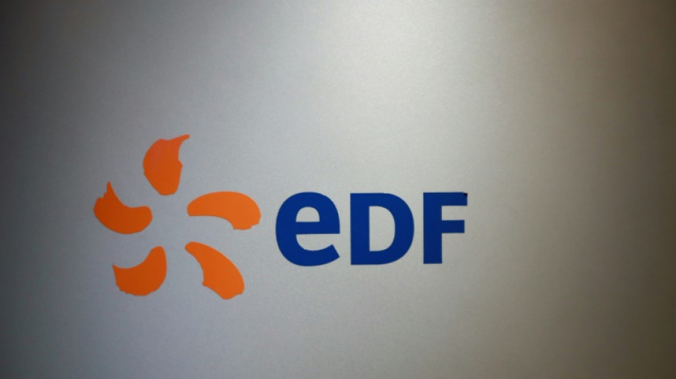 Franz&ouml;sischer Energiekonzern EDF macht knapp 18 Milliarden Euro Verlust