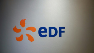 Franz&ouml;sischer Energiekonzern EDF macht knapp 18 Milliarden Euro Verlust