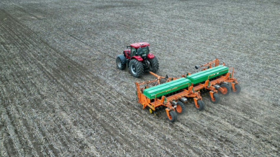 Cansado da pol&iacute;tica, campo argentino se inclina por Milei