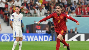 Mondial: Gavi, Gakpo, Weah, les p&eacute;pites du Qatar