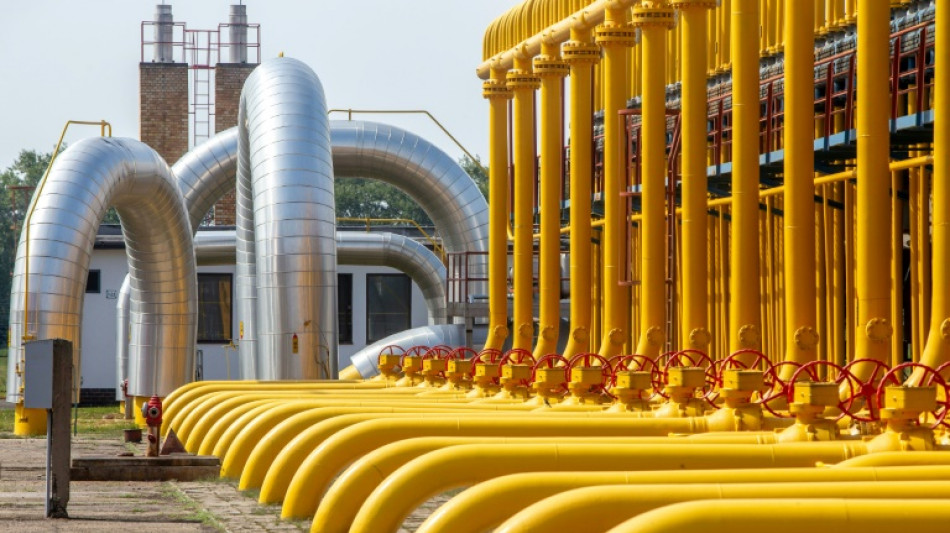 Erdgasverbrauch 2024 weltweit auf neuem H&ouml;chststand