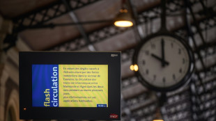 Gr&ecirc;le, fortes pluies dans le Sud-Ouest, ligne TGV Bordeaux-Toulouse interrompue plusieurs jours