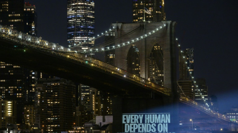 L'ONU sur le pont pour tenter de prot&eacute;ger enfin la haute mer