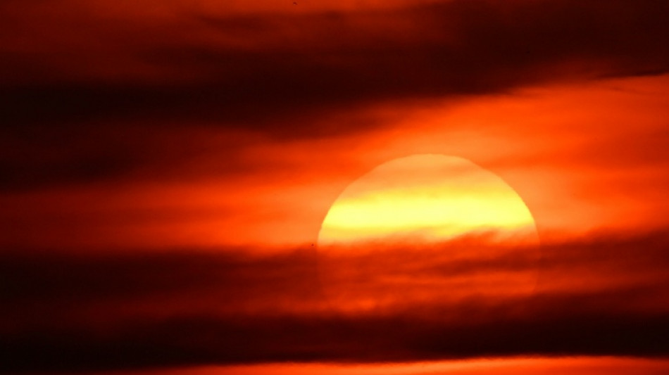 Bislang fast 12.000 Hitzetote in Deutschland - hohe Sterblichkeit vor allem im Juni