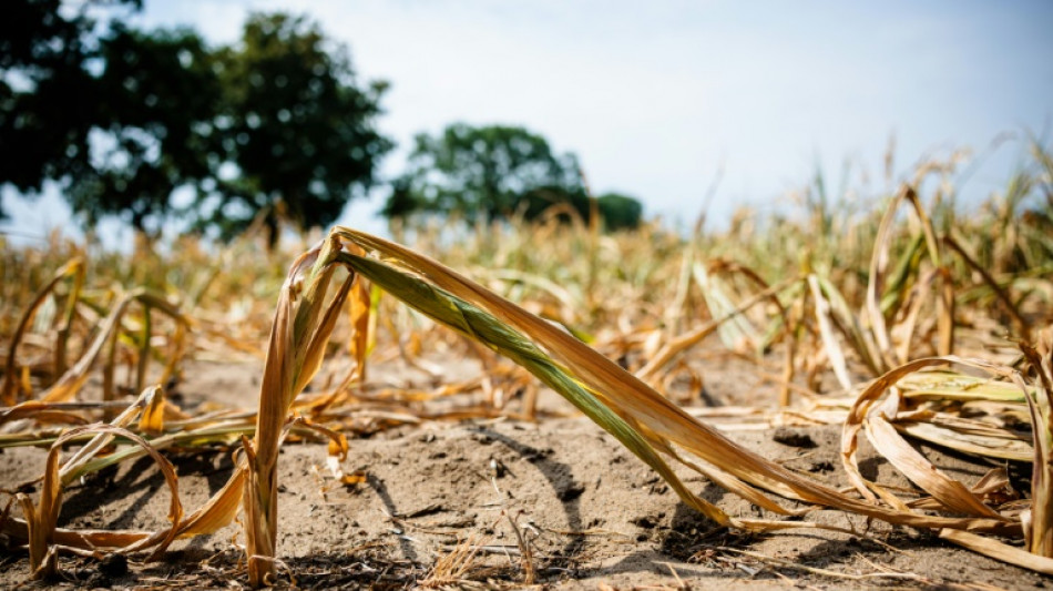 Wegen D&uuml;rre: Deutscher St&auml;dtetag ruft zu Sparsamkeit im Umgang mit Trinkwasser auf