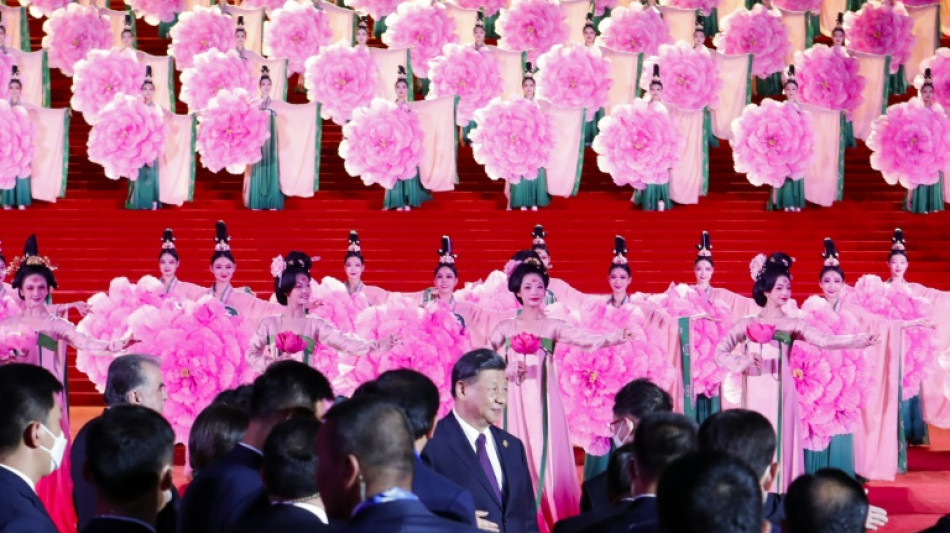 China will mit Gipfel "neue &Auml;ra" der Beziehungen zu Zentralasien einl&auml;uten