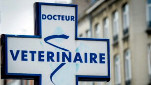 V&eacute;t&eacute;rinaire: loin du r&ecirc;ve d'enfant, une profession endeuill&eacute;e par les suicides