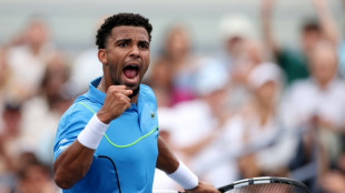 Coupe Davis: les Bleus r&ecirc;vent de phase finale &agrave; Valence