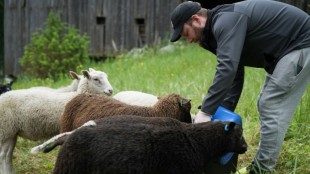 Pastor por uma semana: um programa de ver&atilde;o inusitado, mas popular na Finl&acirc;ndia