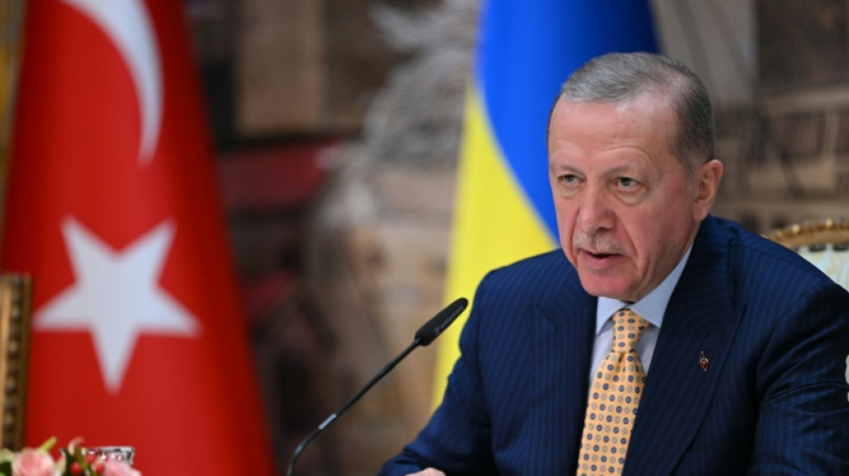Erdogan perfila la posibilidad de dejar el poder tras m&aacute;s de 20 a&ntilde;os al mando en Turqu&iacute;a
