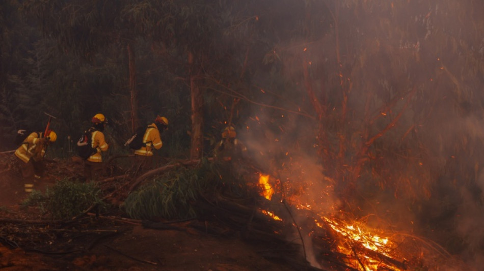Damnificados por los incendios en Chile piden ayuda y el gobierno apunta a un origen intencional