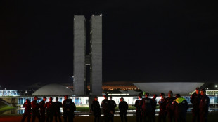 Brasil inicia b&uacute;squeda de responsables de asalto a sedes del poder pol&iacute;tico