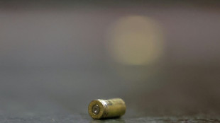 L'Europe confront&eacute;e au trafic d'armes &agrave; blanc converties pour &ecirc;tre l&eacute;tales