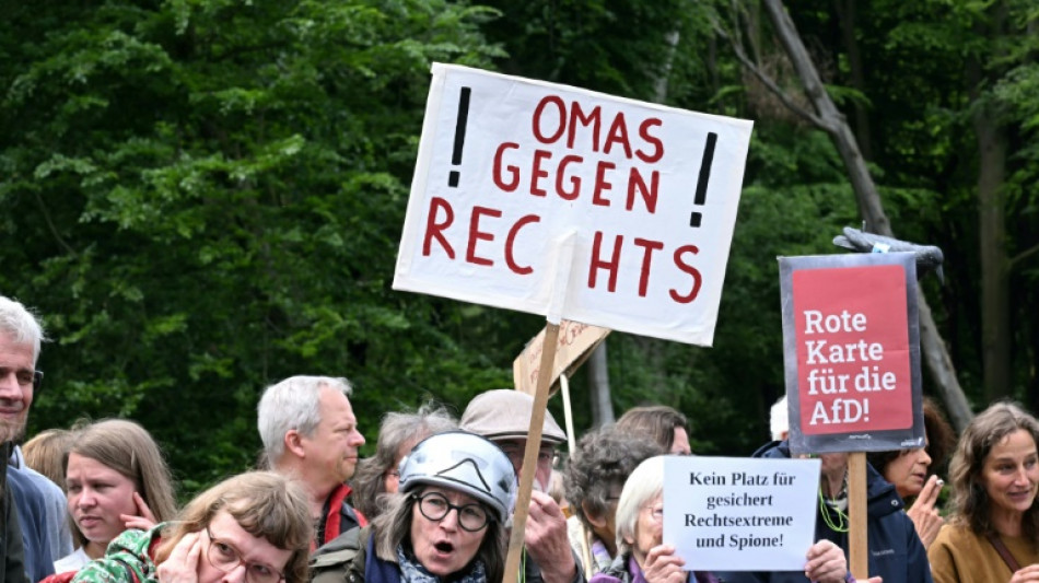 Av&oacute;s se mobilizam contra a extrema-direita na Alemanha