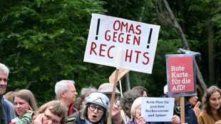 Av&oacute;s se mobilizam contra a extrema-direita na Alemanha