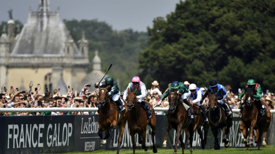Fiscalit&eacute;: la fili&egrave;re hippique annule les courses jeudi et pr&eacute;voit une manifestation 