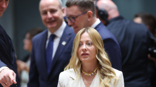 Meloni, 'rivedere norme Ue per procedure pi&ugrave; efficaci su migranti irregolari'