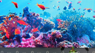 L'OMC "prudemment optimiste" au d&eacute;but des n&eacute;gociations sur la p&ecirc;che et l'agriculture