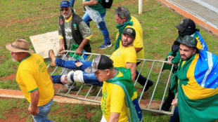 Br&eacute;sil: A l'assaut du Congr&egrave;s, les bolsonaristes crient "intervention militaire"