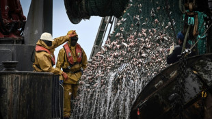 Los pa&iacute;ses de la UE alcanzaron un dif&iacute;cil acuerdo sobre cuotas pesqueras para 2025