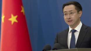 Pechino a Zelensky, 'mai fornito armi letali alla Russia'