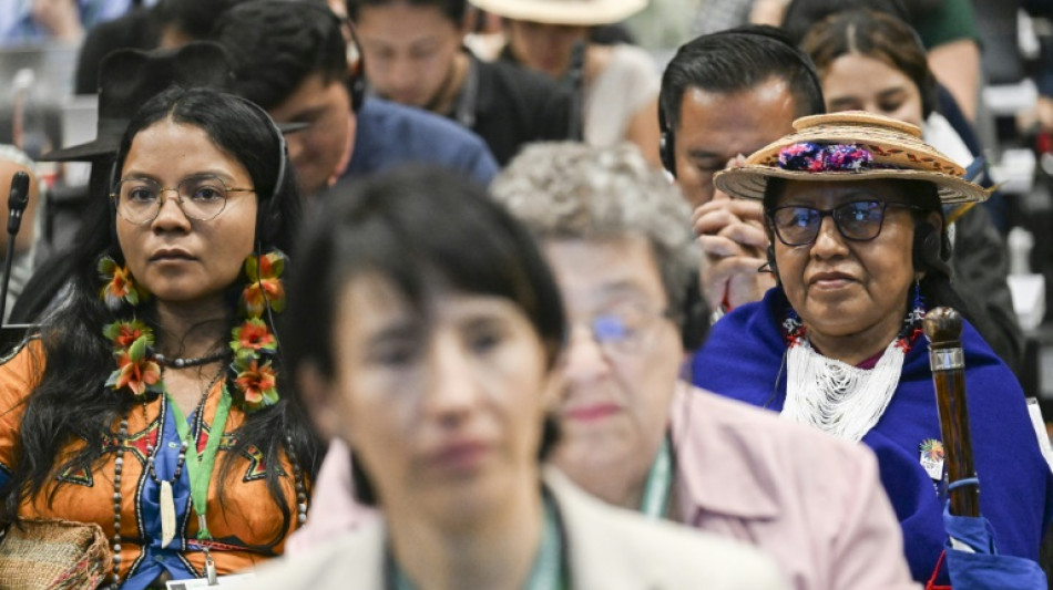 Verhandeln "bis zum Sieg": UN-Artenschutzkonferenz geht in die Verl&auml;ngerung