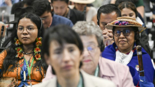 Verhandeln "bis zum Sieg": UN-Artenschutzkonferenz geht in die Verl&auml;ngerung