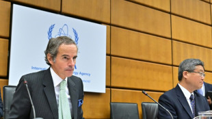 Nucl&eacute;aire: l'Iran, frapp&eacute; d'une r&eacute;solution &agrave; l'AIEA, riposte