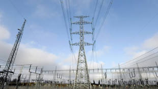 Bundeskartellamt will teils &auml;u&szlig;erst hohe Preise an Stromb&ouml;rsen &uuml;berpr&uuml;fen