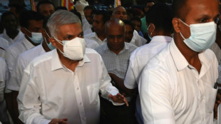 Wickremesinghe, nuevo presidente de Sri Lanka, m&aacute;s astuto que su t&iacute;o el "viejo zorro"
