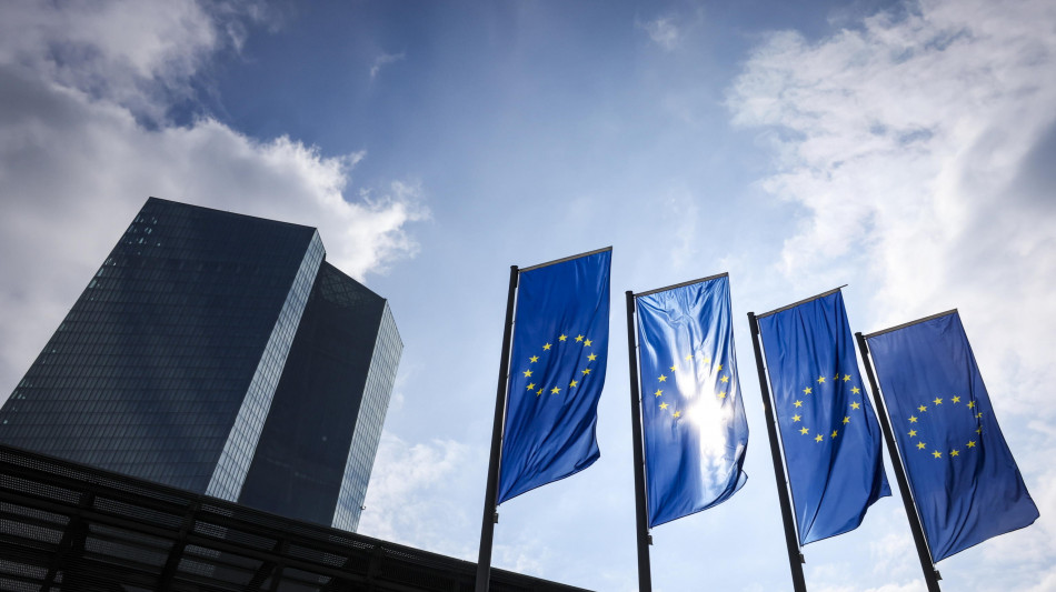 Lane, 'l'incertezza &egrave; alta, sui tassi non c'&egrave; un percorso'